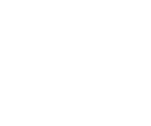 Veiligheidsschoenen PNG
